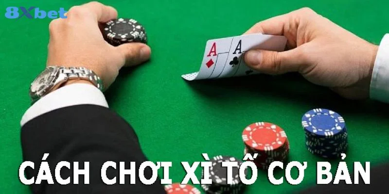 Tổng quan về cách chơi xì tố 8Xbet dành cho tân thủ.