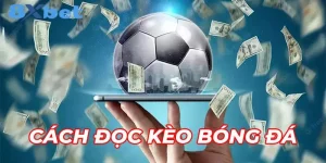 Cách Đọc Kèo Bóng Đá 8Xbet Siêu Dễ Và Chuẩn Xác Cho Tân Thủ