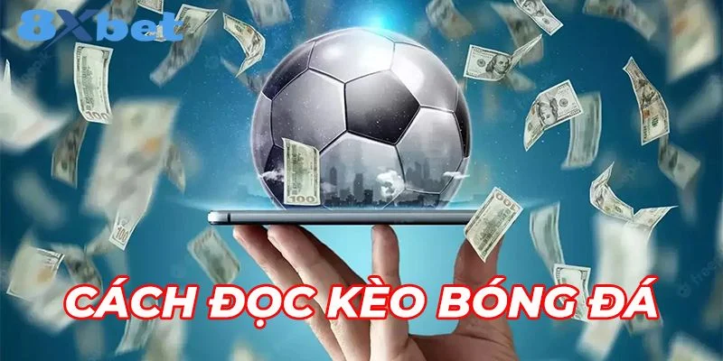 Cách Đọc Kèo Bóng Đá 8Xbet Siêu Dễ Và Chuẩn Xác Cho Tân Thủ