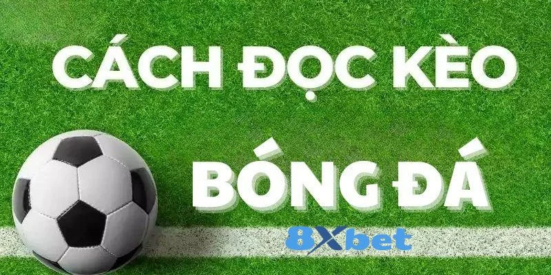 Kèo bóng đá 8Xbet đang được ưa chuộng hàng đầu hiện nay.