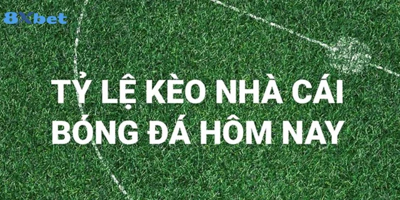 Kèo Nhà Cái Hôm Nay Làm Thế Nào Để Bắt Trọn? 8Xbet Hé Lộ 2 Kèo nhà cái là thông số quan trọng trong soi kèo.