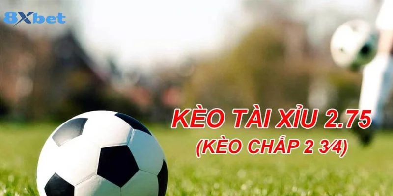 Kèo Tài Xỉu 2.75 Là Gì? Kiến Thức Bắt Kèo Tại 8Xbet Bất Bại 3 Cách tính kèo tài xỉu 2.75 là gì được đông đảo tay chơi quan tâm.