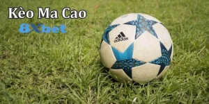 Tỷ Lệ Kèo Macao – Hướng Dẫn Đặt Cược Cực Chuẩn 2025