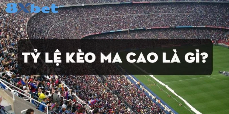 Người chơi nên nắm rõ bản chất của tỷ lệ kèo Macao.